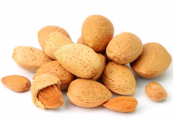 Badam Almond With Shell 1KG
