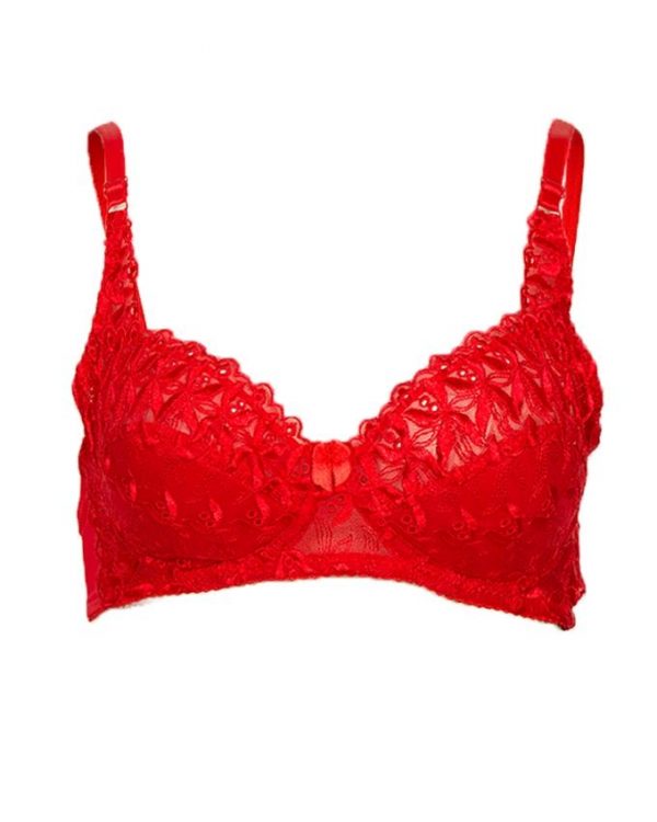 Red Nylon & Lace Evernew Lace Bra