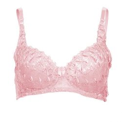 Baby Pink Nylon & Lace Evernew Lace Bra