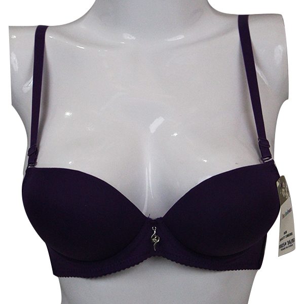 Push Up Bra Purple A