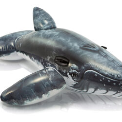 INTEX Realistic Whale Ride On a