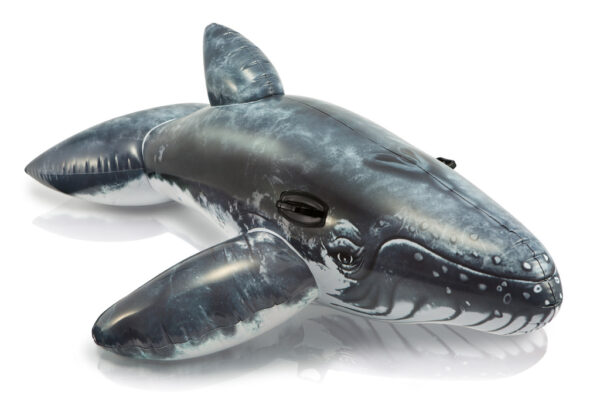 INTEX Realistic Whale Ride On a