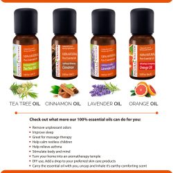 essential oil tea tree