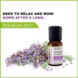 lavender skin care oil