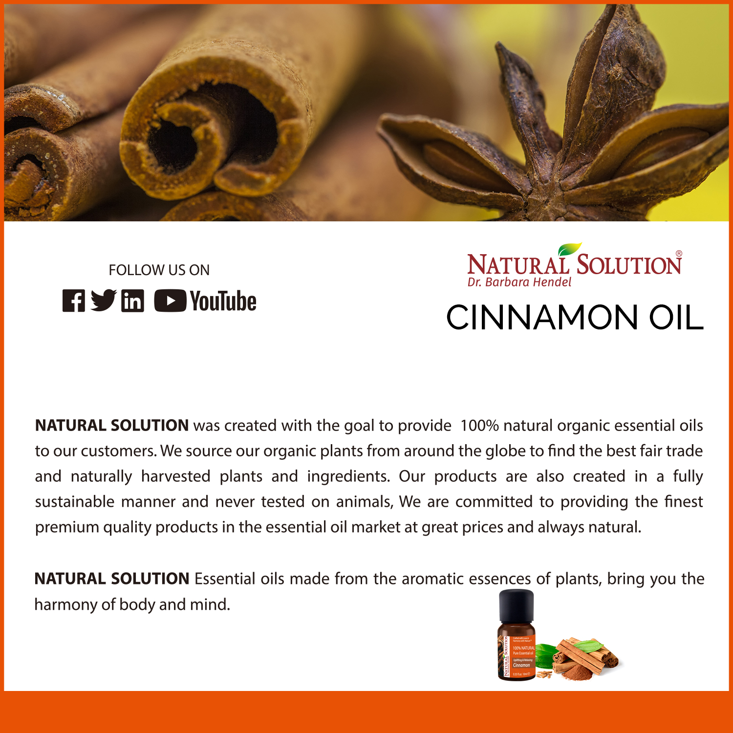 Natural Solution Essential Oil Cinnamon : Buy Online At Best Prices In ...