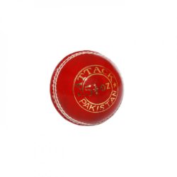CA Attack Cricket Ball D