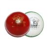 CA League Special Cricket Ball a
