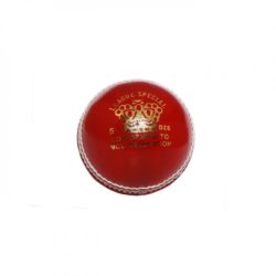 CA League Special Cricket Ball e