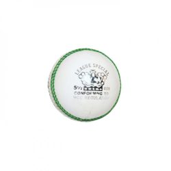 CA League Special Cricket Ball f