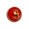 CA Test Star Cricket Ball a