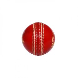 CA Test Star Cricket Ball b