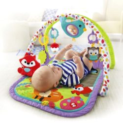 cdn in musical activity gym woodland d