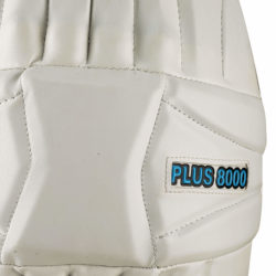 bucket.pk