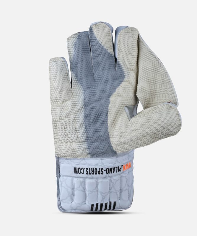 hs-41-limited-edition-wicket-keeping-gloves-buy-online-at-best-prices