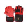 CA Gold Wicket Keeping Gloves A