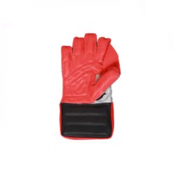 CA Gold Wicket Keeping Gloves B