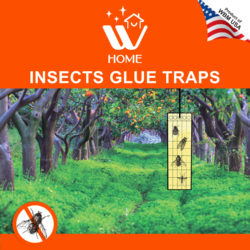 L Insects Glue Traps