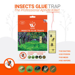 L Insects Glue Traps