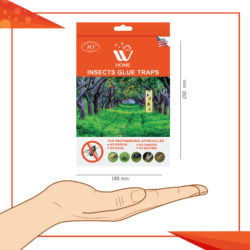 L Insects Glue Traps