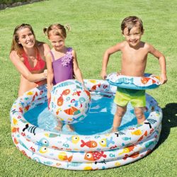 Intex Fishbowl B