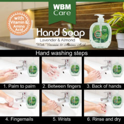 antibacterial hand wash