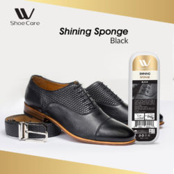 black shoe sponge