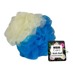 cleaning sponge