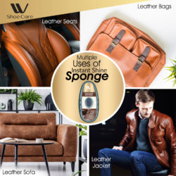 shoe cleaning sponge
