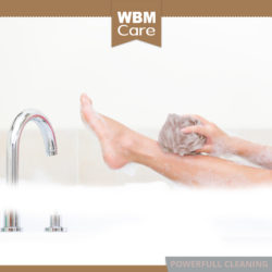wbm cleaning sponge