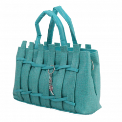 Strap Style Soft Ladies Bag Feroze Color C x