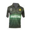 cricket shirt