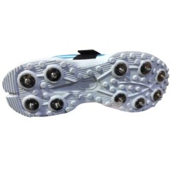 WhatsApp Image at PM