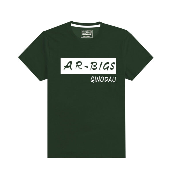 boy s ar bigs printed bottel green tee shirt front