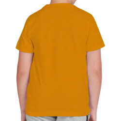 boy s ar bigs printed yellow tee shirt back