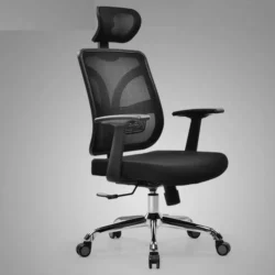 Computer Ergonomic chair with Lumbar support a
