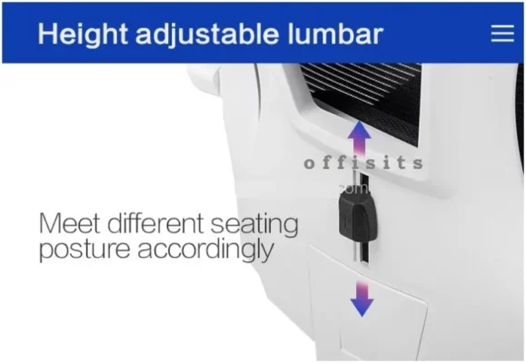 Easy Executive chair with Footrest and Lumbar support e