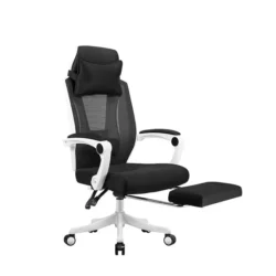 Easy Executive chair with Lumbar support d