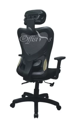Ergonomic high Back chair with lumbar support OF d
