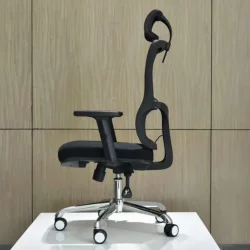 Executive Ergonomic chair Backcare b