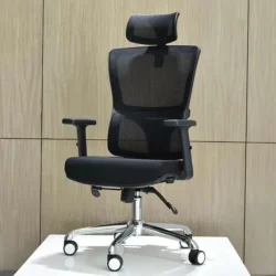 Executive Ergonomic chair Backcare c