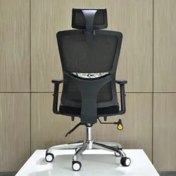 Executive Ergonomic chair Backcare d