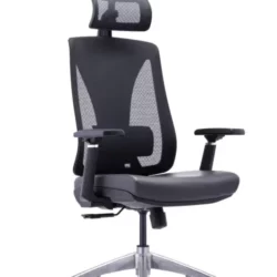 Executive chair with adjustable Lumbar support b