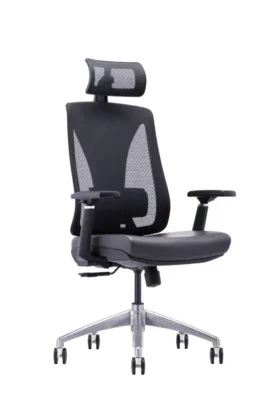 Executive chair with adjustable Lumbar support b