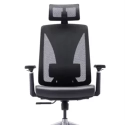 Executive chair with adjustable Lumbar support c