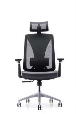 Executive chair with adjustable Lumbar support c