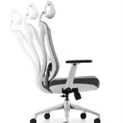 Executive chair with adjustable Lumbar support d