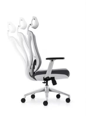 Executive chair with adjustable Lumbar support d