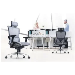 ICON Executive Mesh Chair Spinal Care design a