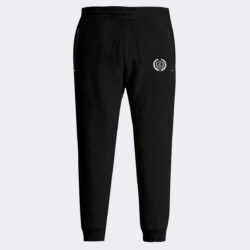 WhatsAppImage at PM x