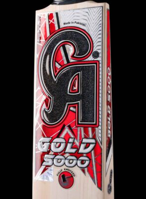 Alternative view of CA Gold 5000